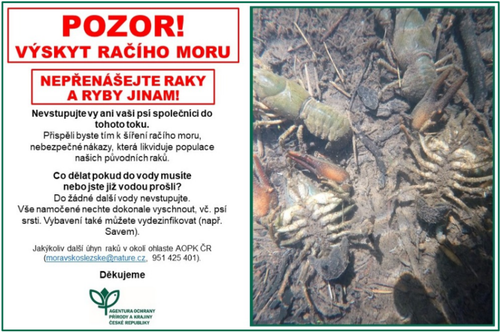 Snímek obrazovky 2024-09-03 134938.png